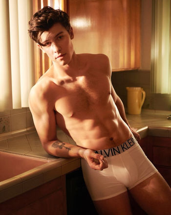 Shawn Mendes feat.